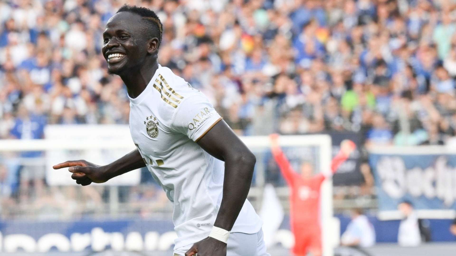 得了无数荣 得了无数荣